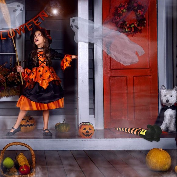 Evil Witch Legs for Planter Pots Halloween Patio Indoor Outdoor Decoration Acces - Picture 6 of 7